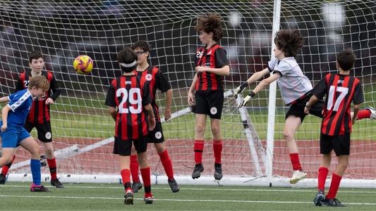QPFC 2025 Spring Tournament